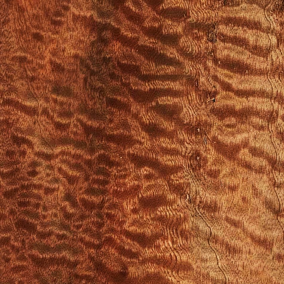 Quilted-Sapele Exotic Wood Zone