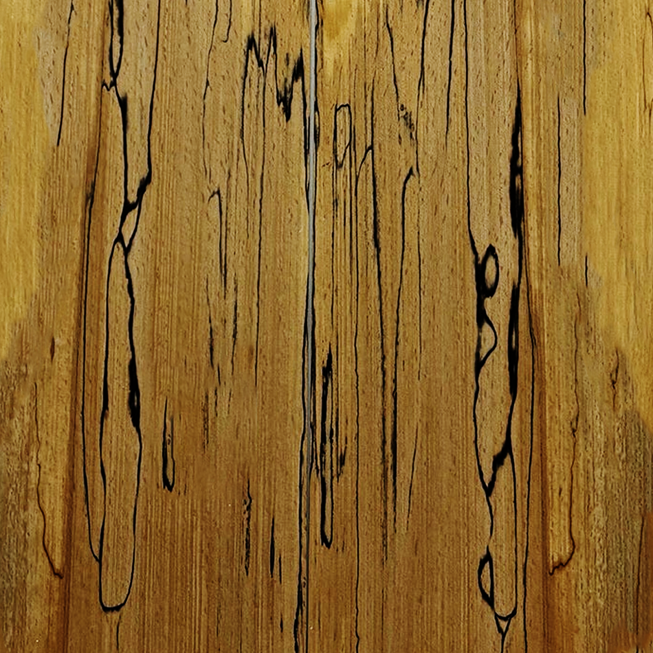 Spalted-European-Beech Exotic Wood Zone