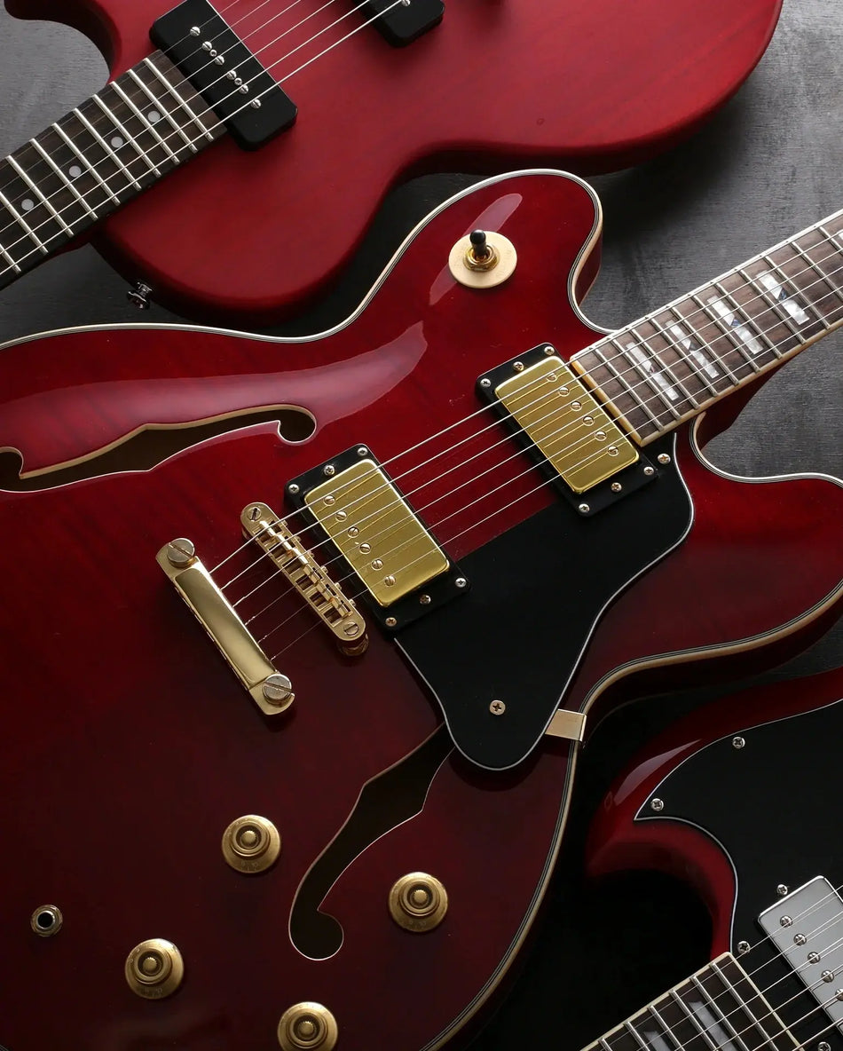 Archtop-Guitar Exotic Wood Zone