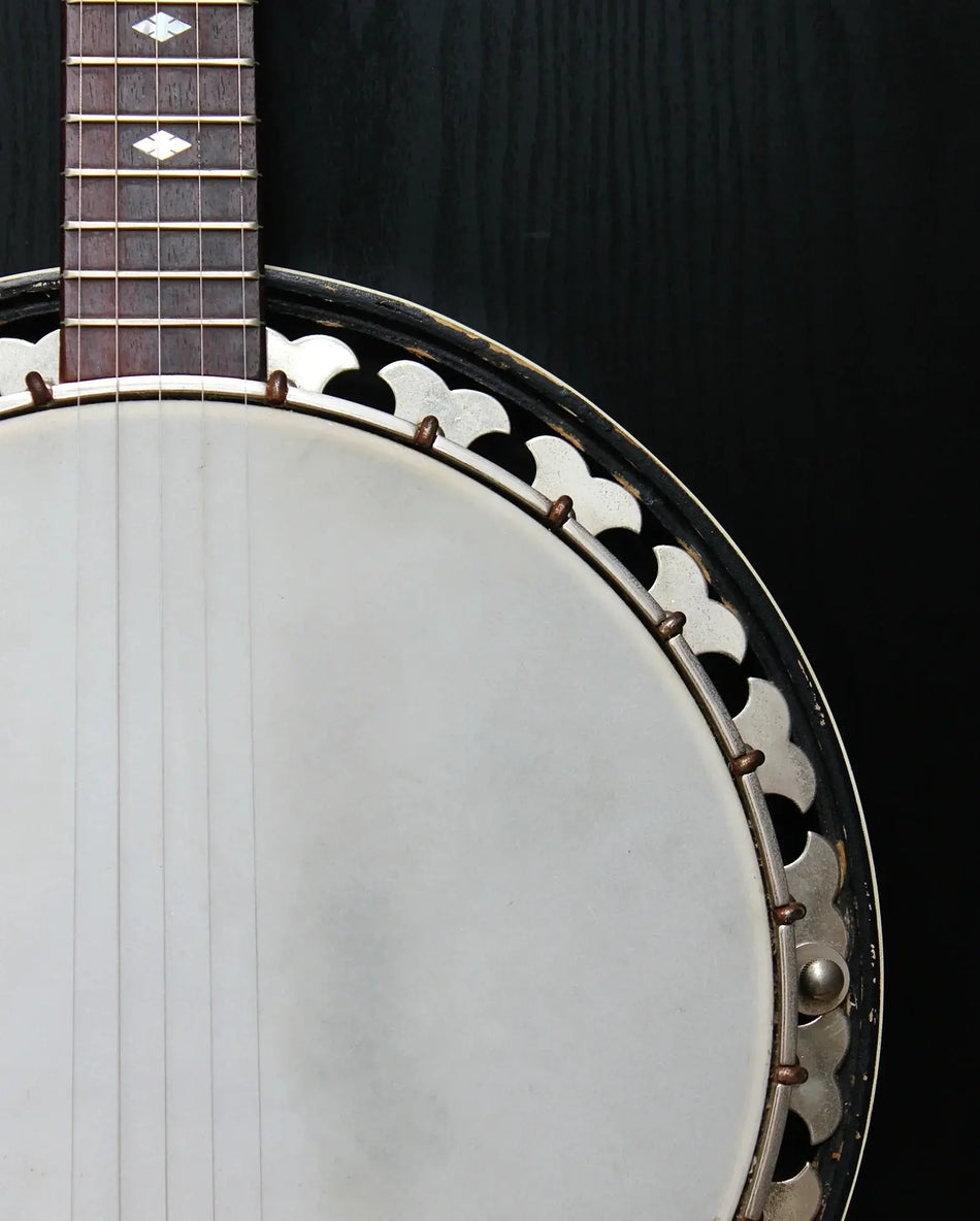 Banjo-Guitar Exotic Wood Zone