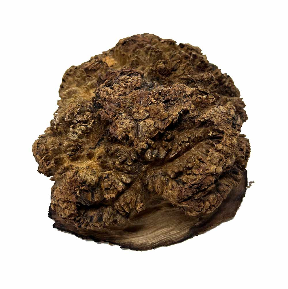 Chechen Burls With Free Shipping - Exotic Wood Zone 
