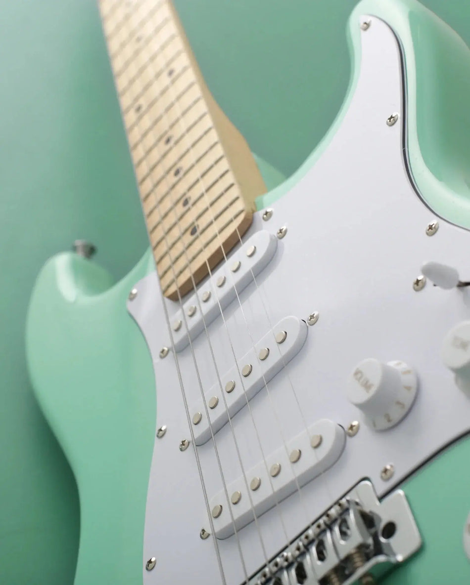 Electric-Guitar Exotic Wood Zone