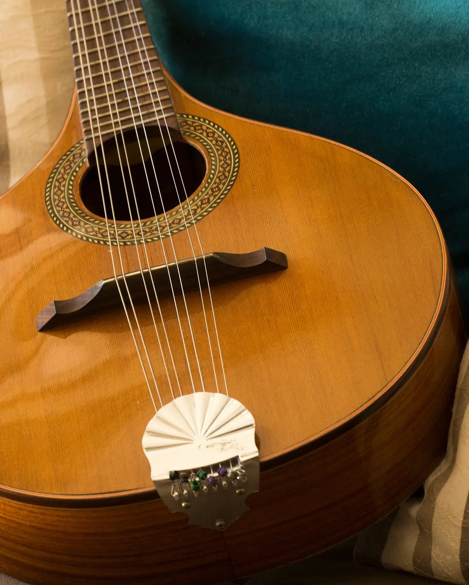 Mandolin-Guitar Exotic Wood Zone