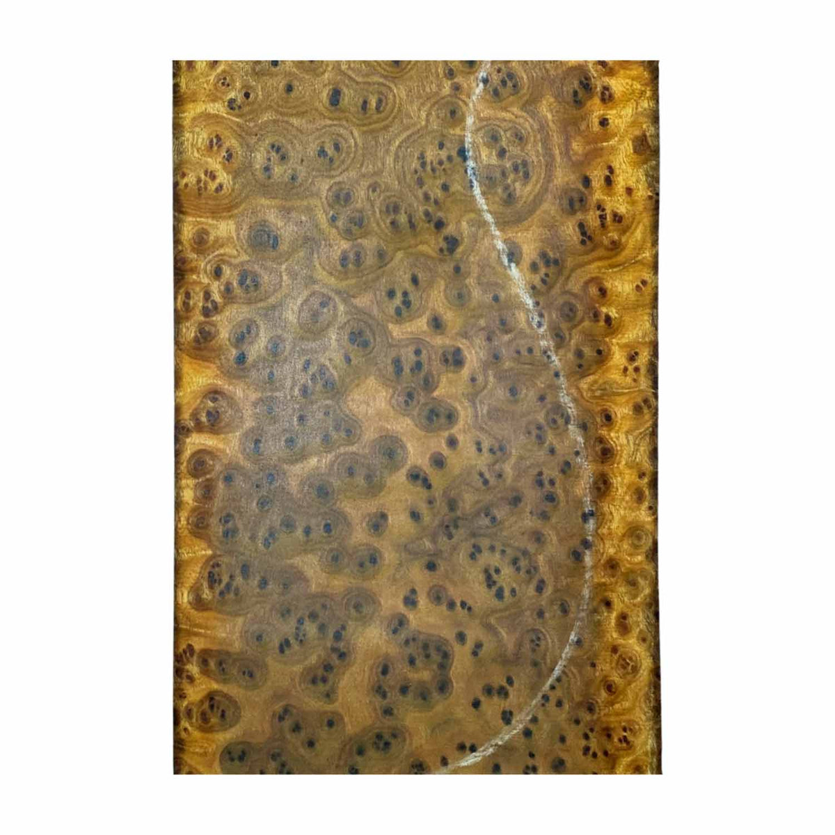 Quilted Camphor Burl Guitar Drop Top 21" x 7-3/8" x 3/8" #03 - Exotic Wood Zone Drop Tops