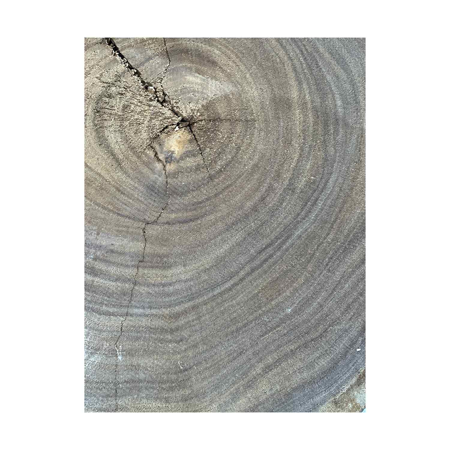 Beautiful Bhilwara Live Edge Slab/Cookies - 24&quot;x 19&quot;x 2&quot; 