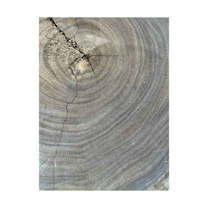 Hermosas y raras losas/galletas de borde vivo de madera negra africana - 24&quot;x24-1/2&quot;x3&quot;, 