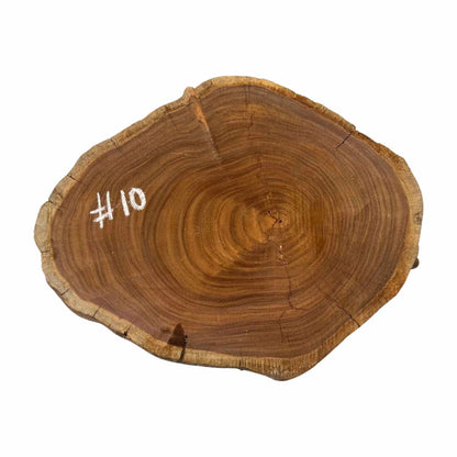 Hermosas y raras losas/galletas de borde vivo de madera negra africana - 24&quot;x24-1/2&quot;x3&quot;, 