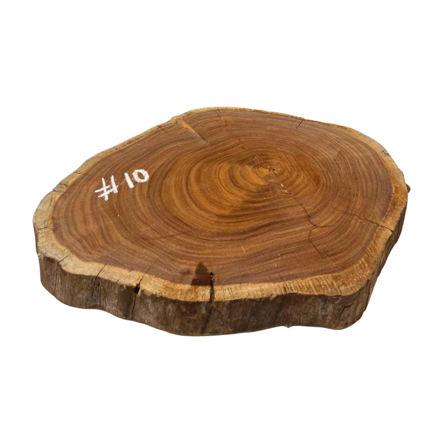 Hermosas y raras losas/galletas de borde vivo de madera negra africana - 24&quot;x24-1/2&quot;x3&quot;, 