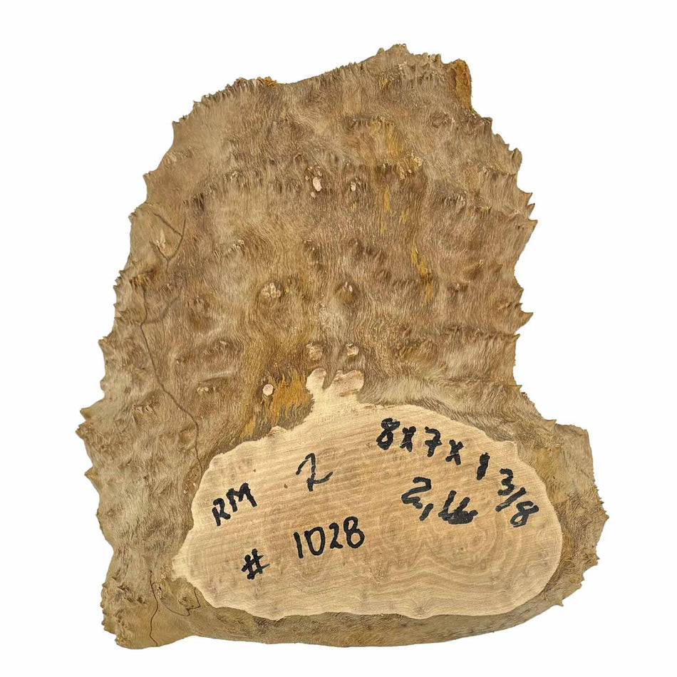 Red Mallee Slab/Cookies - 8" x 7" x 1-3/8" #1028 Exotic Wood Zone 