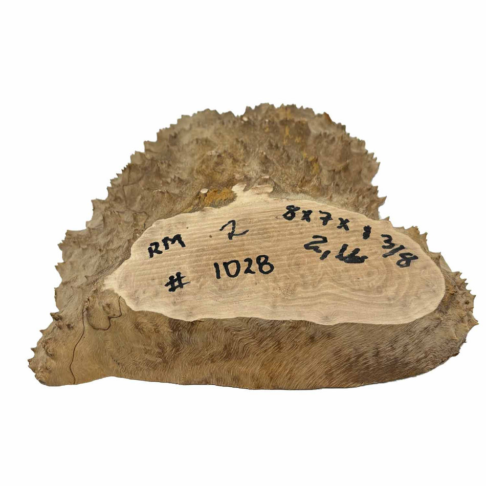 Red Mallee Slab/Cookies - 8" x 7" x 1-3/8" #1028 Exotic Wood Zone 