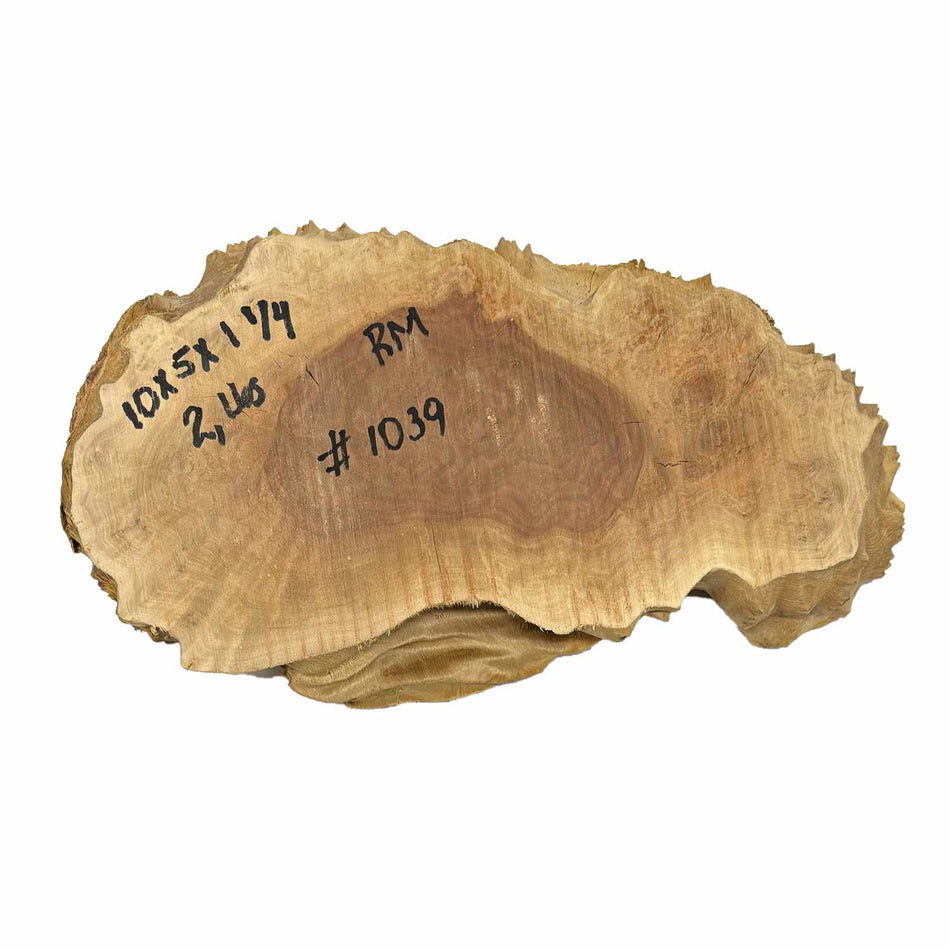 Red Mallee Burl Cookies - 10" x 5" x 1-1/4" #1039