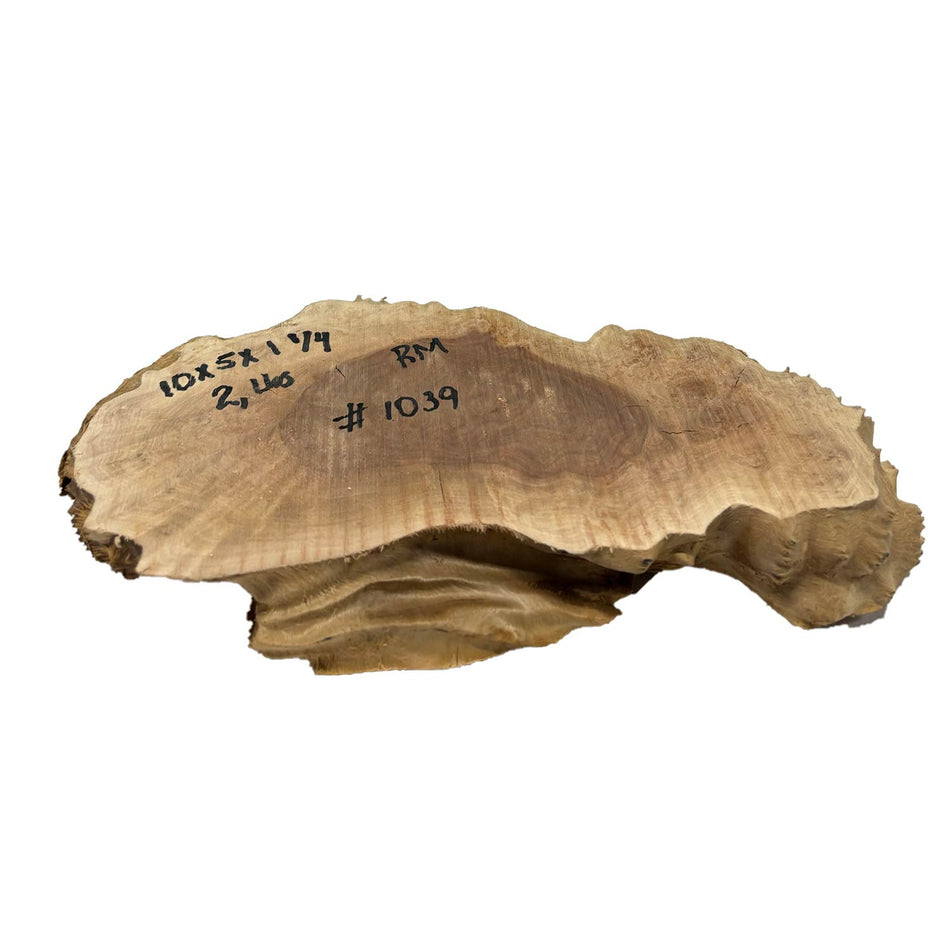Red Mallee Burl Cookies - 10" x 5" x 1-1/4" #1039