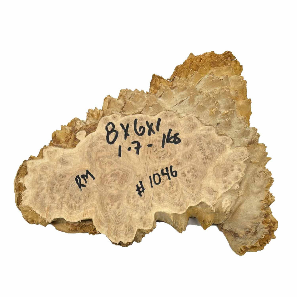 Red Mallee Burl Cookies - 8" x 6" x 1" #1046