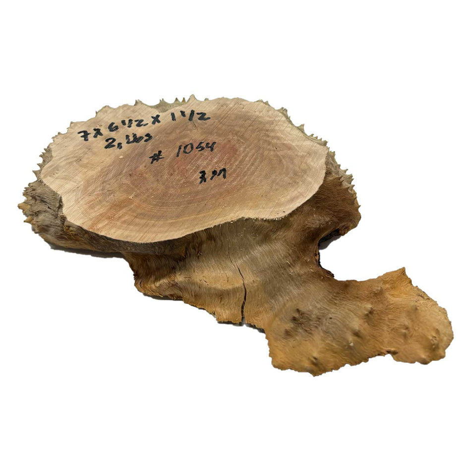 Red Mallee Burl Cookies - 7" x 6-1/2" x 1-1/2" #1054