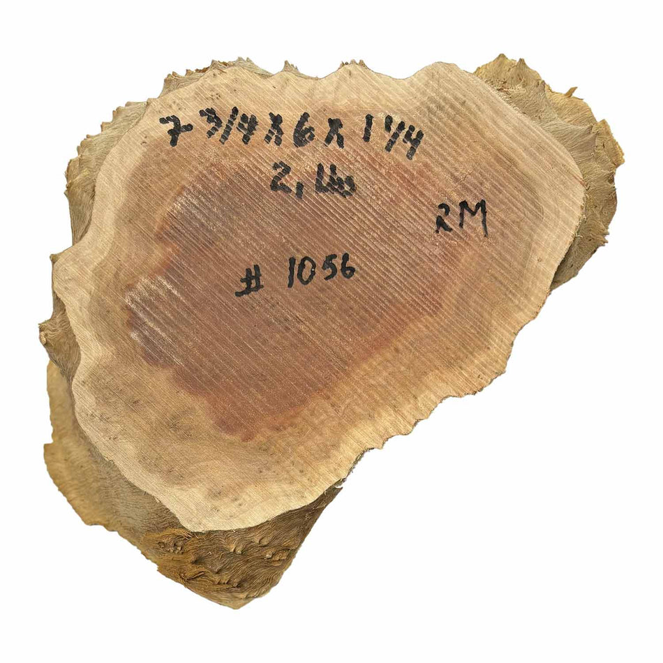 Red Mallee Burl Cookies - 7-3/4" x 6" x 1-1/4" #1056