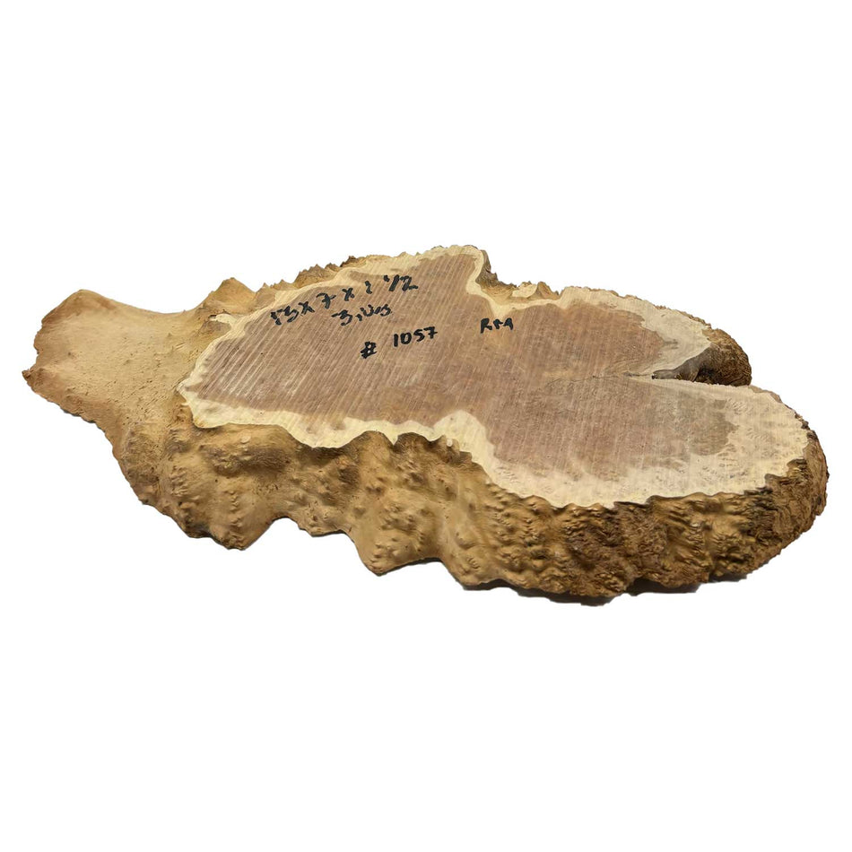 Red Mallee Burl Cookies - 13" x 7" x 1-1/2" #1057