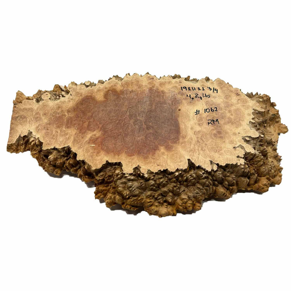Red Mallee Burl Cookies - 19" x 11" x 1-3/4" #1062