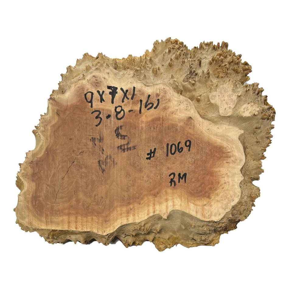 Red Mallee Slab/Cookies - 9" x 7" x 1" #1069 Exotic Wood Zone 