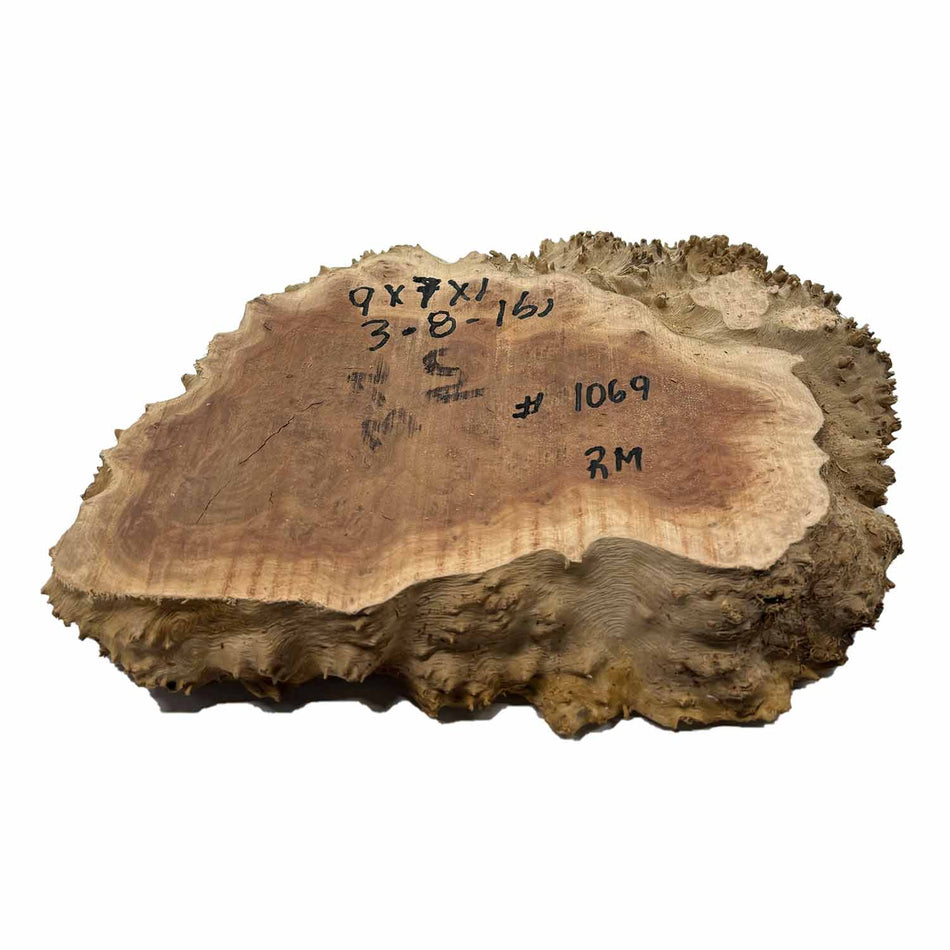 Red Mallee Slab/Cookies - 9" x 7" x 1" #1069 Exotic Wood Zone 