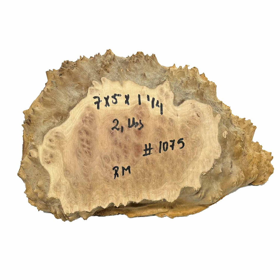 Red Mallee Burl Cookies - 7" x 5" x 1-1/4" #1075