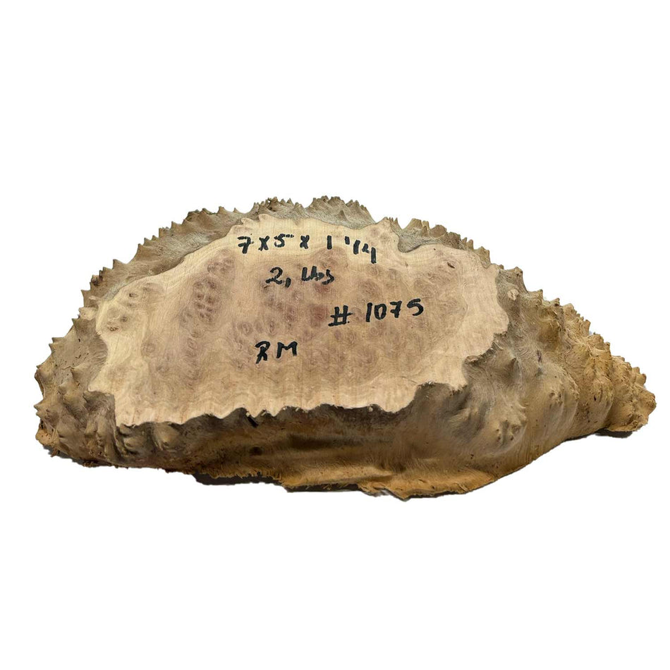 Red Mallee Burl Cookies - 7" x 5" x 1-1/4" #1075