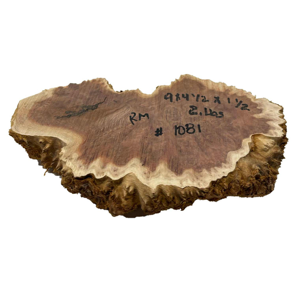 Red Mallee Burl Cookies - 9" x 4-1/2" x 1-1/2" #1081