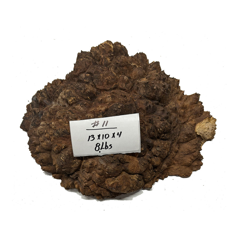 Black Mallee Burl Cookies - 13" x 10" x 4" #11 Exotic Wood Zone 