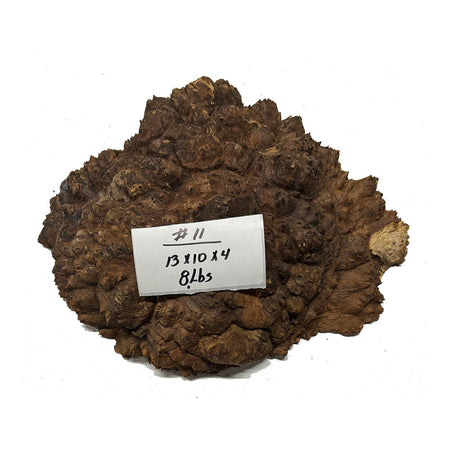 Black Mallee Burl Cookies - 13" x 10" x 4" #11 Exotic Wood Zone 