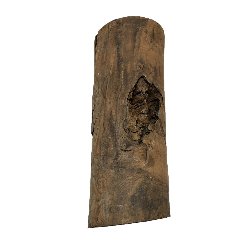 Figured Black Walnut Burl Root Blank - 21"x 8"x 8" #11