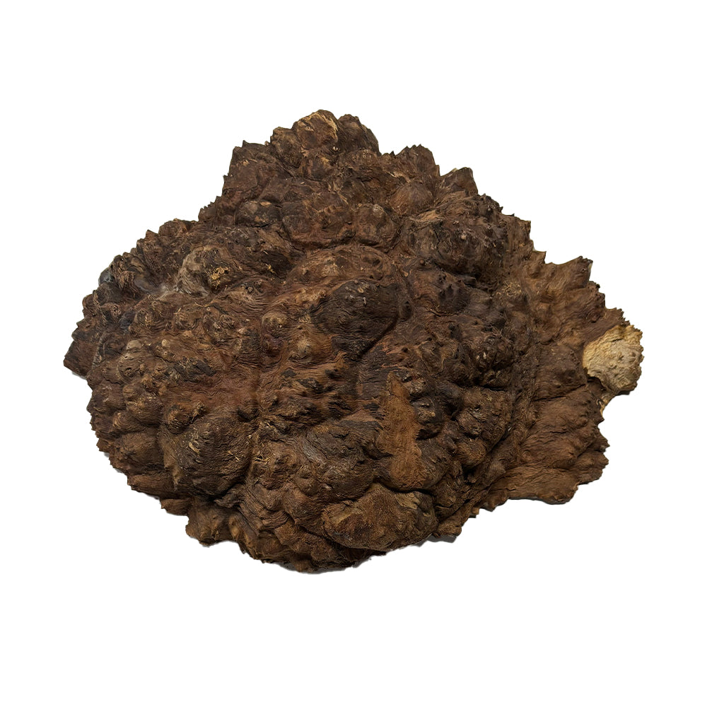 Black Mallee Burl Cookies - 13" x 10" x 4" #11 Exotic Wood Zone 