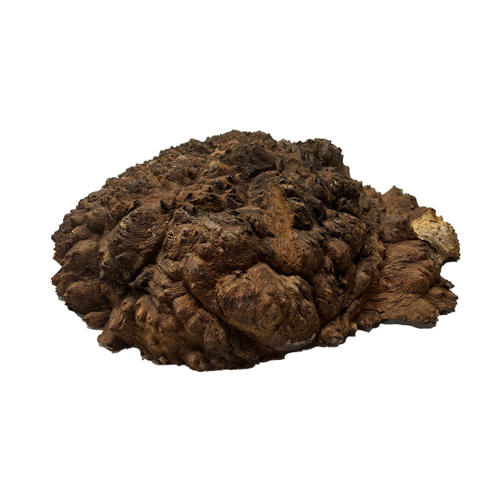 Black Mallee Burl Cookies - 13" x 10" x 4" #11 Exotic Wood Zone 