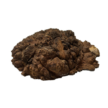 Black Mallee Burl Cookies - 13" x 10" x 4" #11 Exotic Wood Zone 