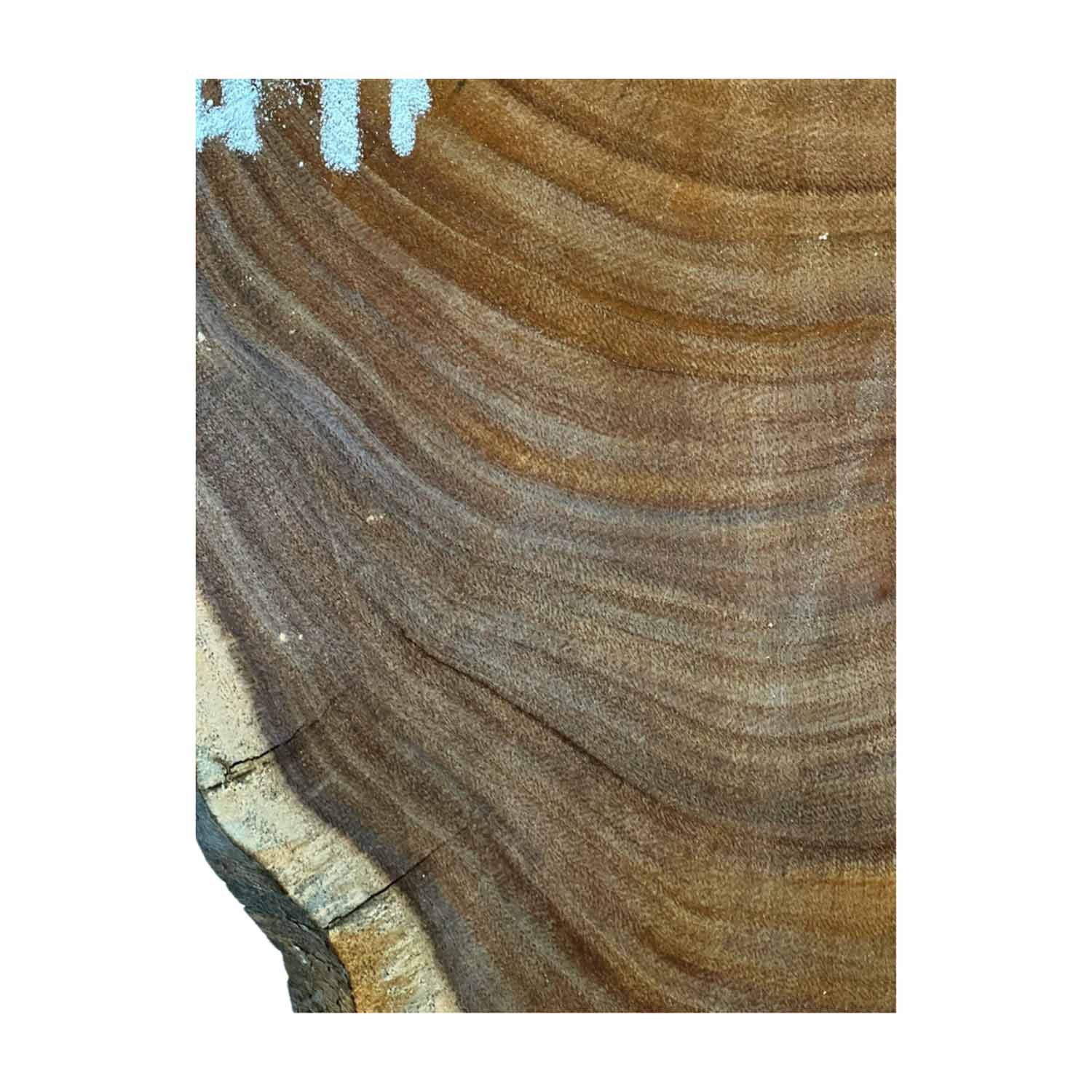 Beautiful Bhilwara Live Edge Slab/Cookies - 20&quot;x 26&quot;x 2&quot; 