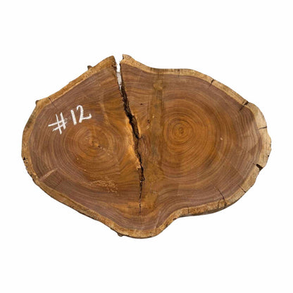 Hermosas y raras losas/galletas de borde vivo de madera negra africana - 24&quot;x24-1/2&quot;x3&quot;, 