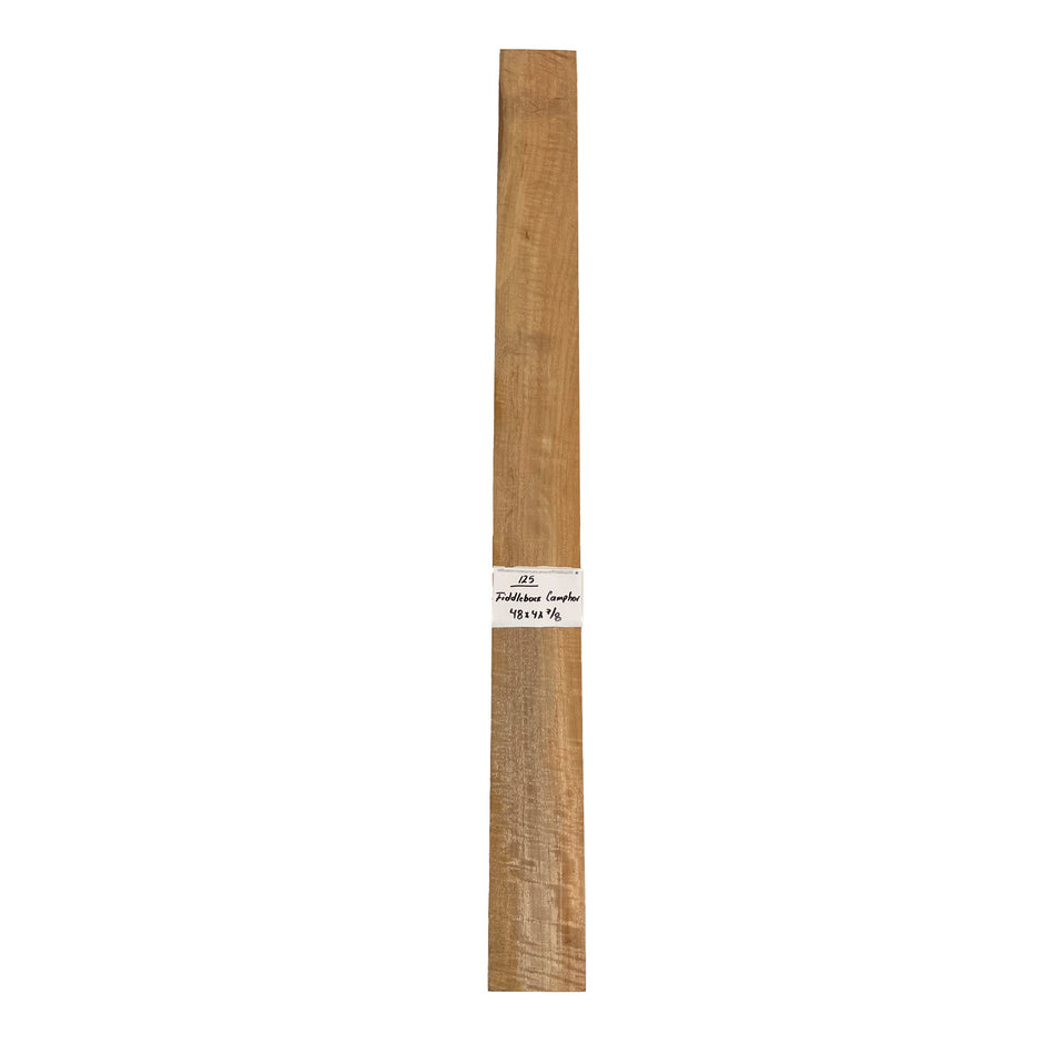 Fiddleback Camphor Lumber 48" x 4" x 7/8" #125