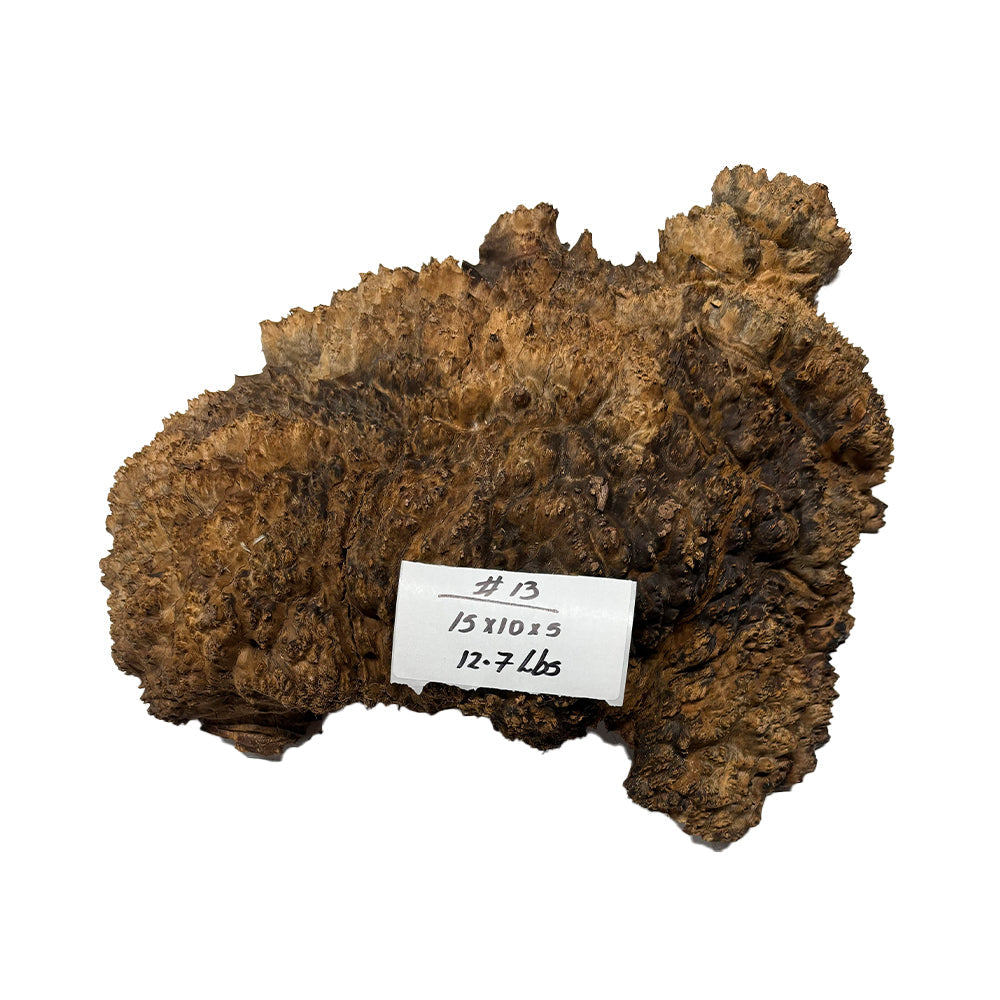 Black Mallee Burl Cookies - 15" x 10" x 5" #13 Exotic Wood Zone 