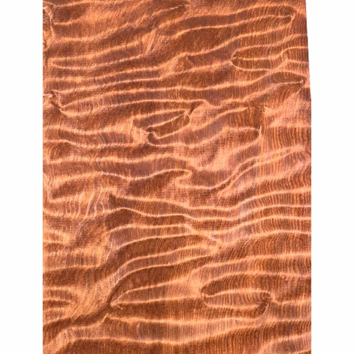 Quilted Figured Flame Cherry Mahogany  Drop Top 20-1/2" x 7-1/2" x 3/8" #130 - Exotic Wood Zone 