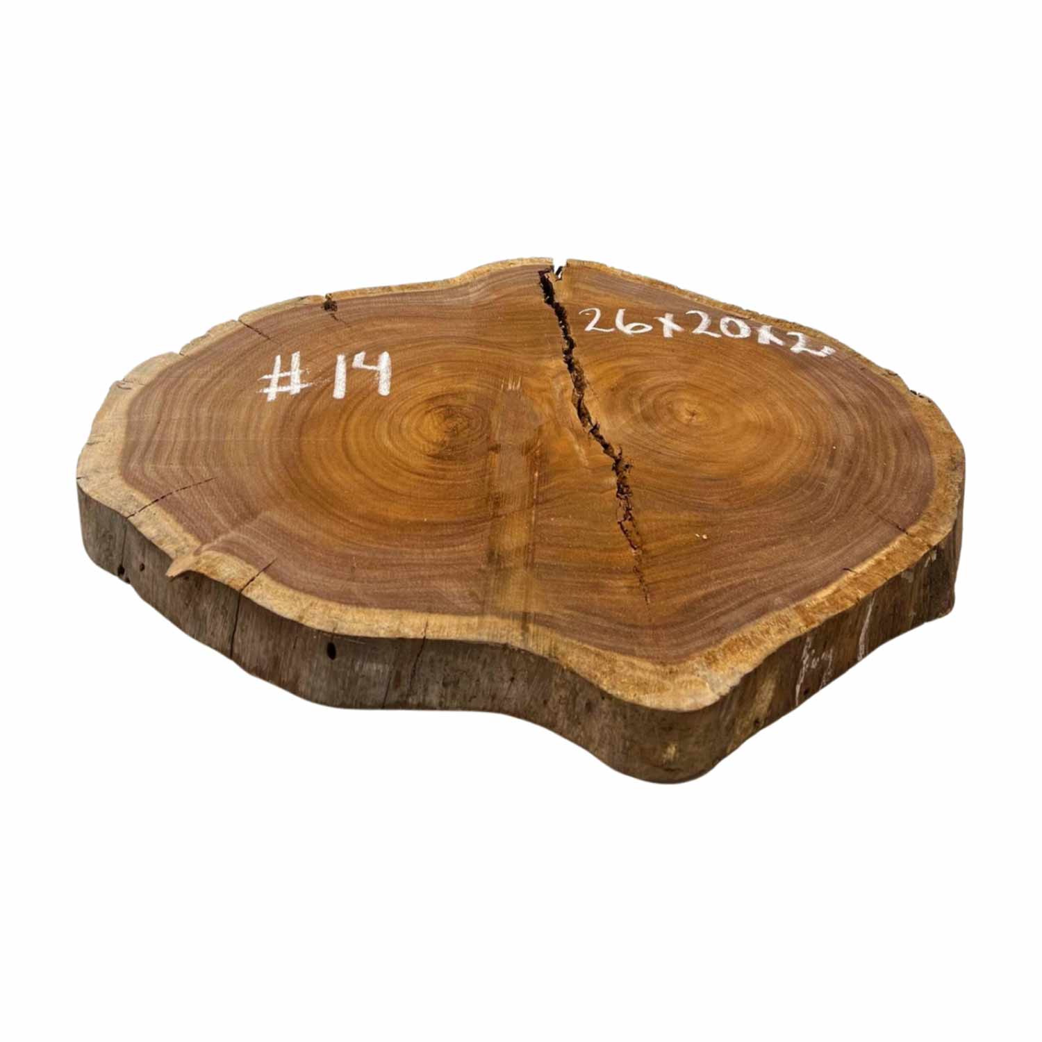 Hermosas y raras losas/galletas de borde vivo de madera negra africana - 24&quot;x24-1/2&quot;x3&quot;, 