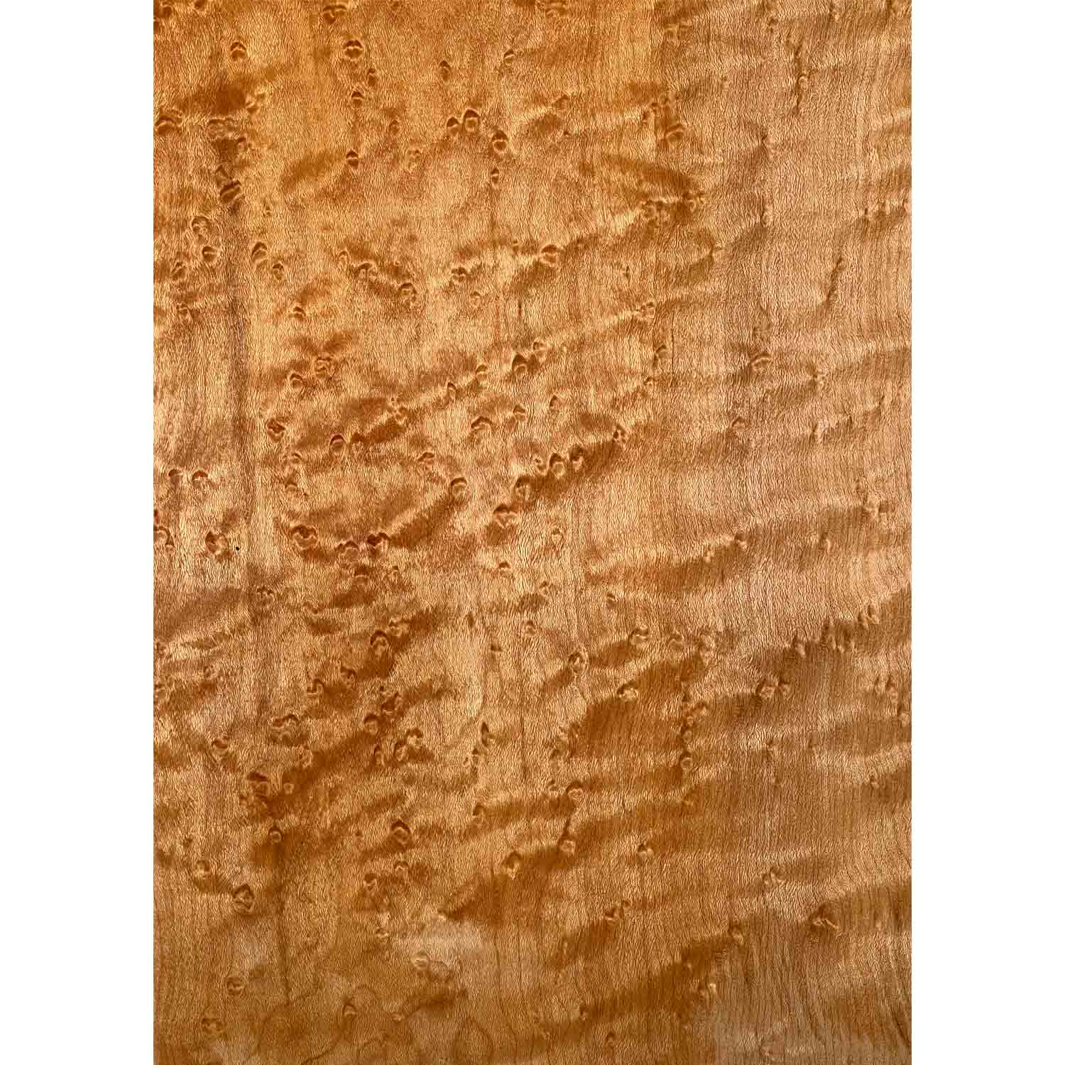 Curly Birdseye Maple Drop Top 21&quot; x 7-1/4&quot; x 3/8&quot; 