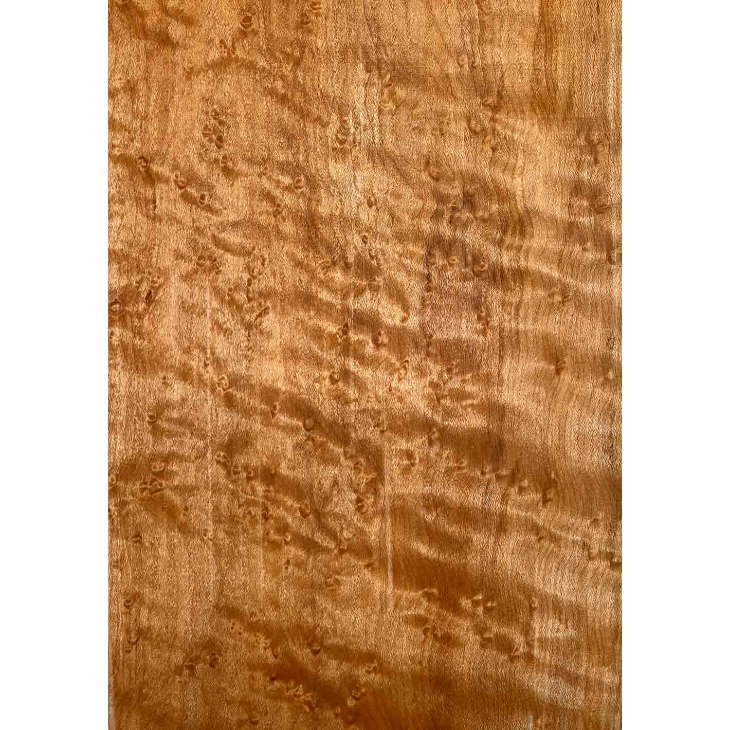 Curly Birdseye Maple Drop Top 21" x 7-1/4" x 3/8" #15-C - Exotic Wood Zone 