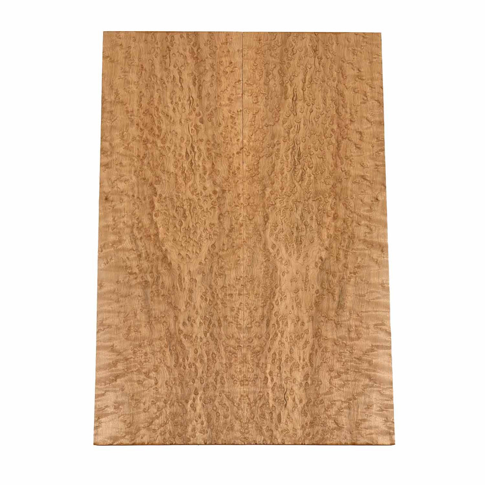 Curly Birdseye Maple Drop Top 21" x 7-1/4" x 3/8" #16 - Exotic Wood Zone 