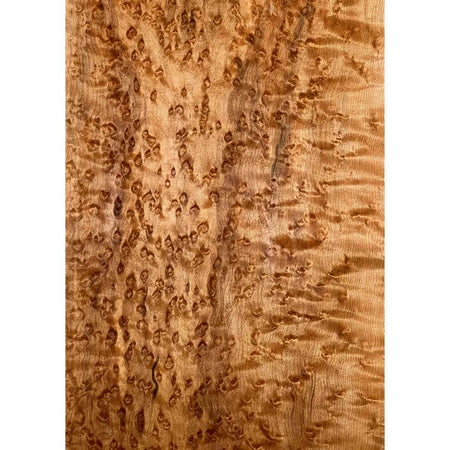 Curly Birdseye Maple Drop Top 21" x 7-1/4" x 3/8" #16 - Exotic Wood Zone 