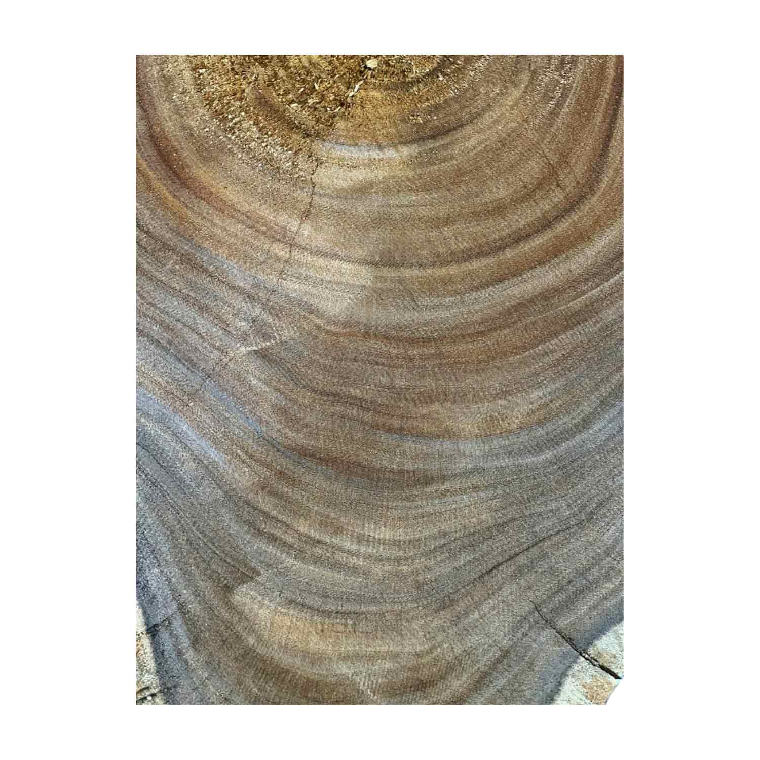 Beautiful Bhilwara Live Edge Slab/Cookies - 21&quot;x 21&quot;x 2&quot; 