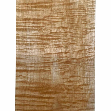 Curly Flame Hard Maple Drop Top 21" x 7-1/4" x 3/8" #17 - Exotic Wood Zone 