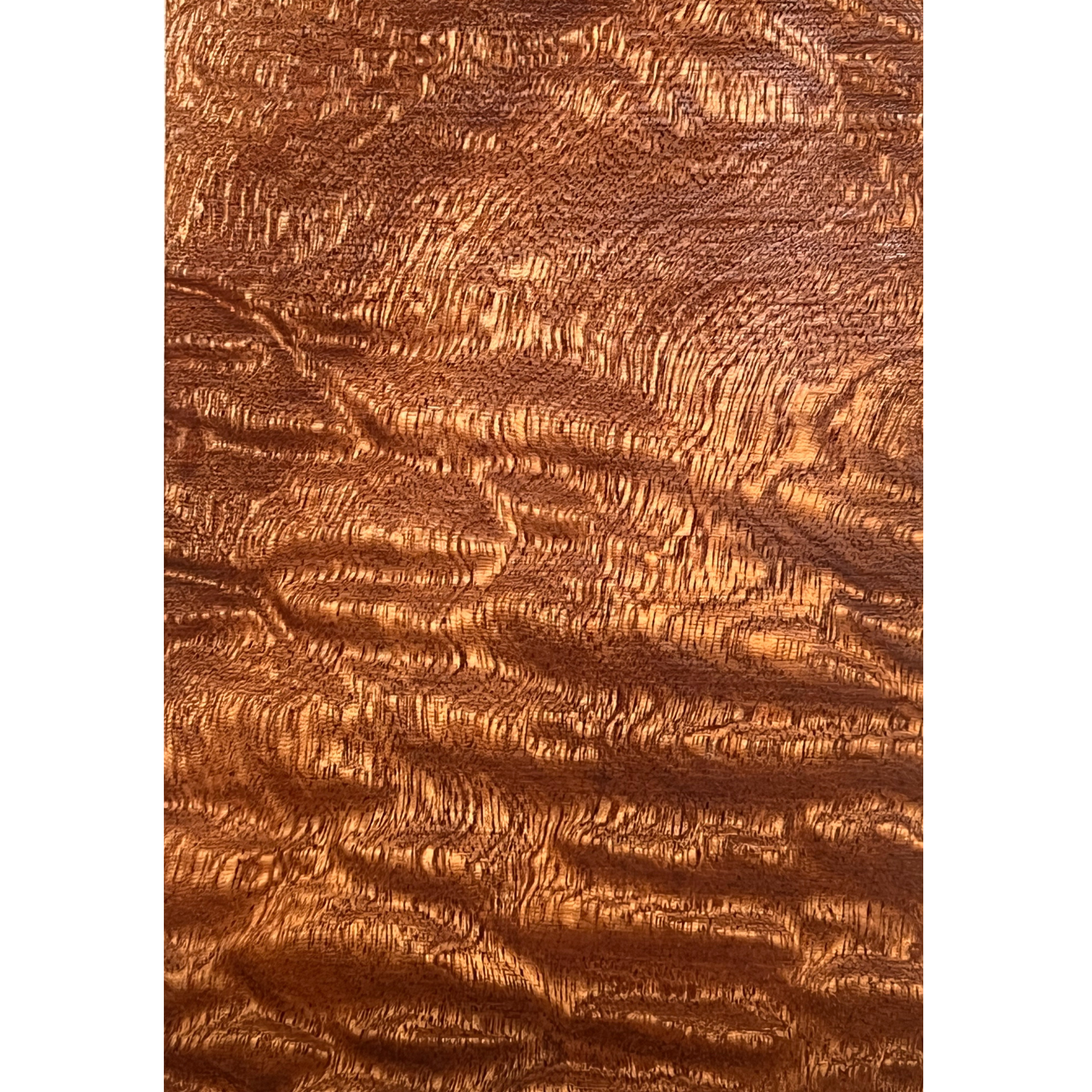 Quilted Curly Sapele Guitar Headplates - Exotic Wood Zone - Buy online Across USA 