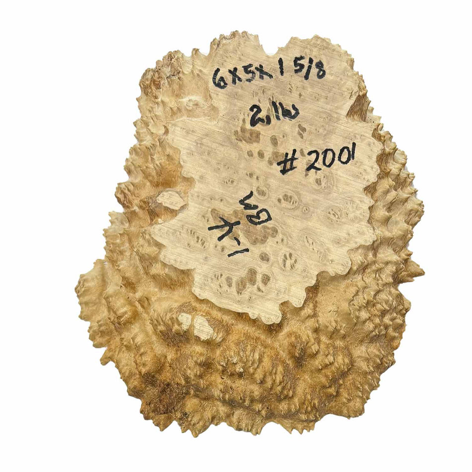 Brown Mallee Burl Cookies 6" x 5" x 1-5/8" 2 Lbs | #2001
