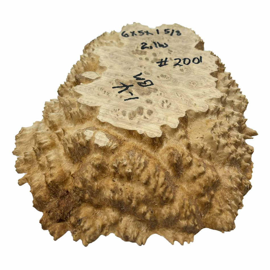 Brown Mallee Burl Cookies 6" x 5" x 1-5/8" 2 Lbs | #2001
