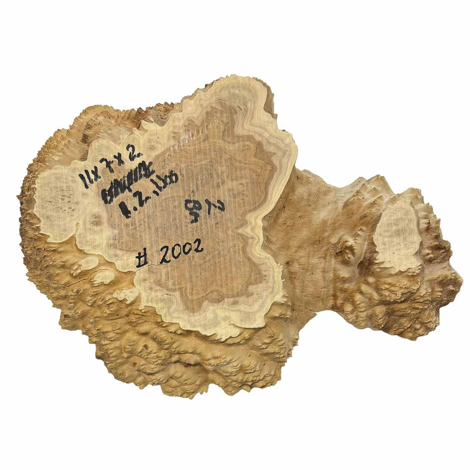 Brown Mallee Burl Cookies 11" x 7" x 2"  1.2 Lbs | #2002