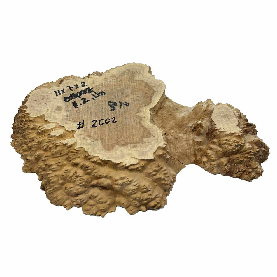 Brown Mallee Burl Cookies 11" x 7" x 2"  1.2 Lbs | #2002