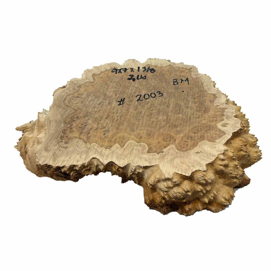 Brown Mallee Burl Cookies 9" x 7" x 1-3/8"  2 Lbs | #2003